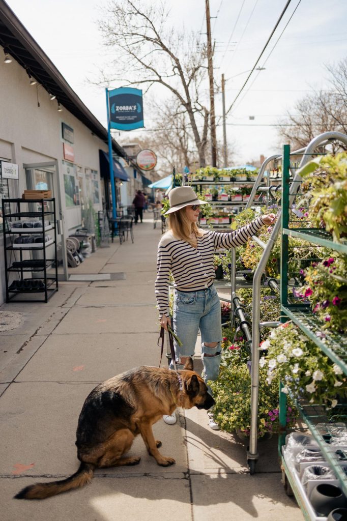 Planting shopping with my german shepherd in a striped Rag and Bone cardigan, ripped jeans, white sneakers and hat.